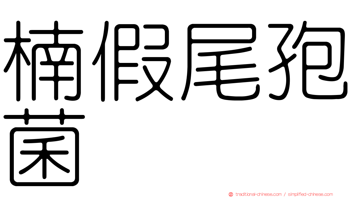 楠假尾孢菌