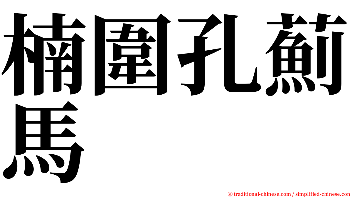 楠圍孔薊馬 serif font