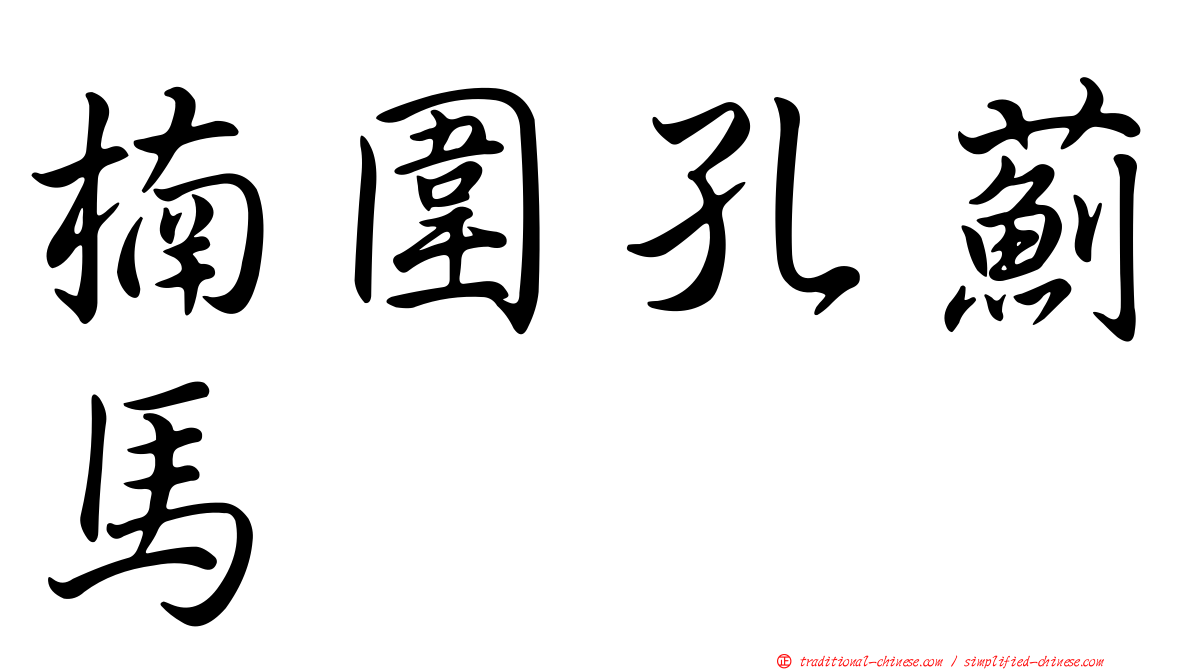 楠圍孔薊馬