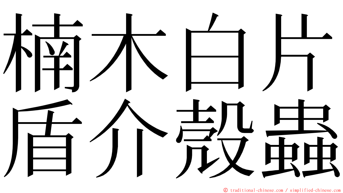 楠木白片盾介殼蟲 ming font