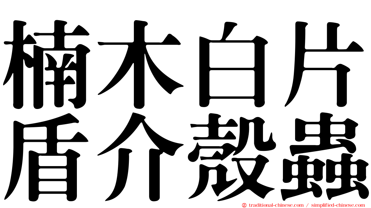 楠木白片盾介殼蟲