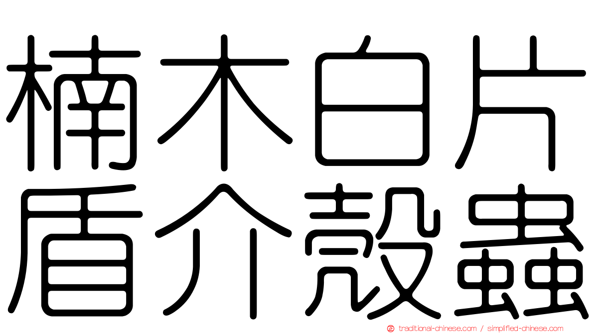 楠木白片盾介殼蟲