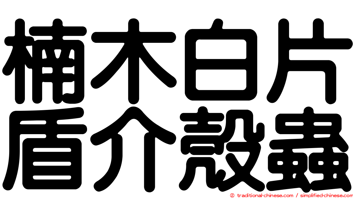 楠木白片盾介殼蟲