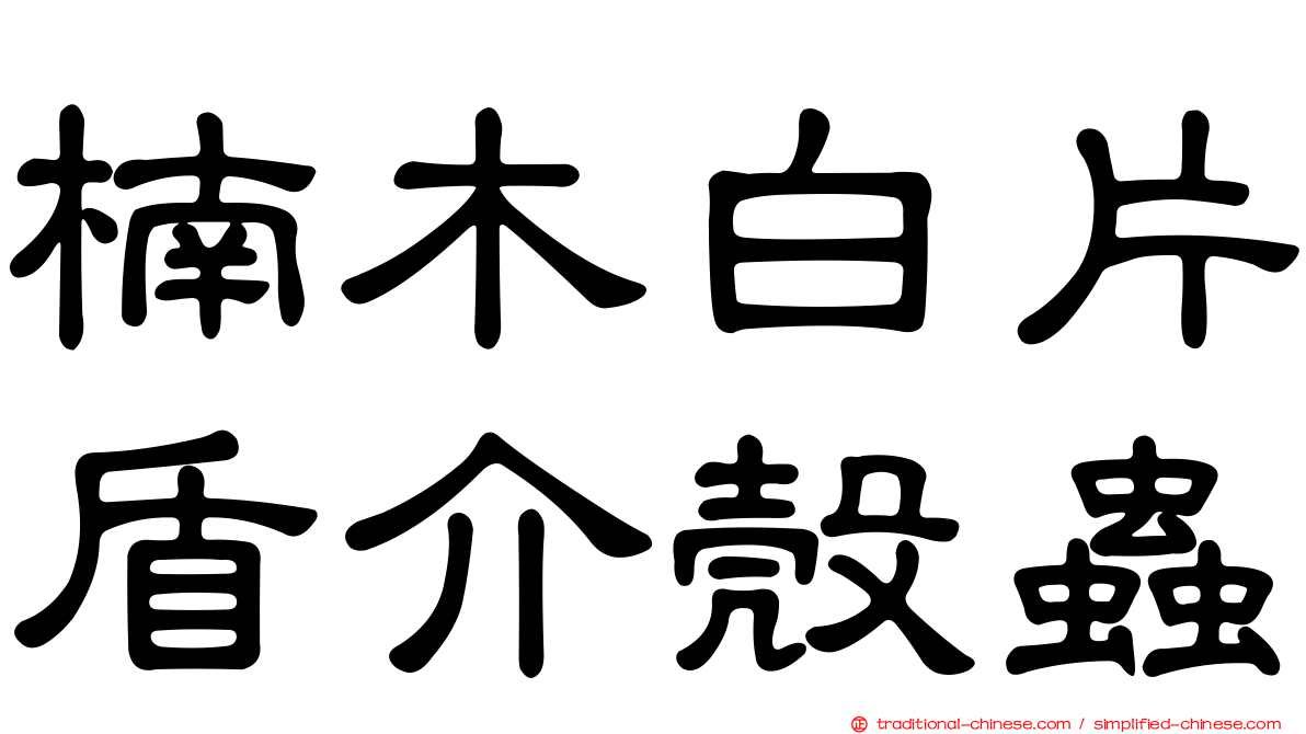 楠木白片盾介殼蟲