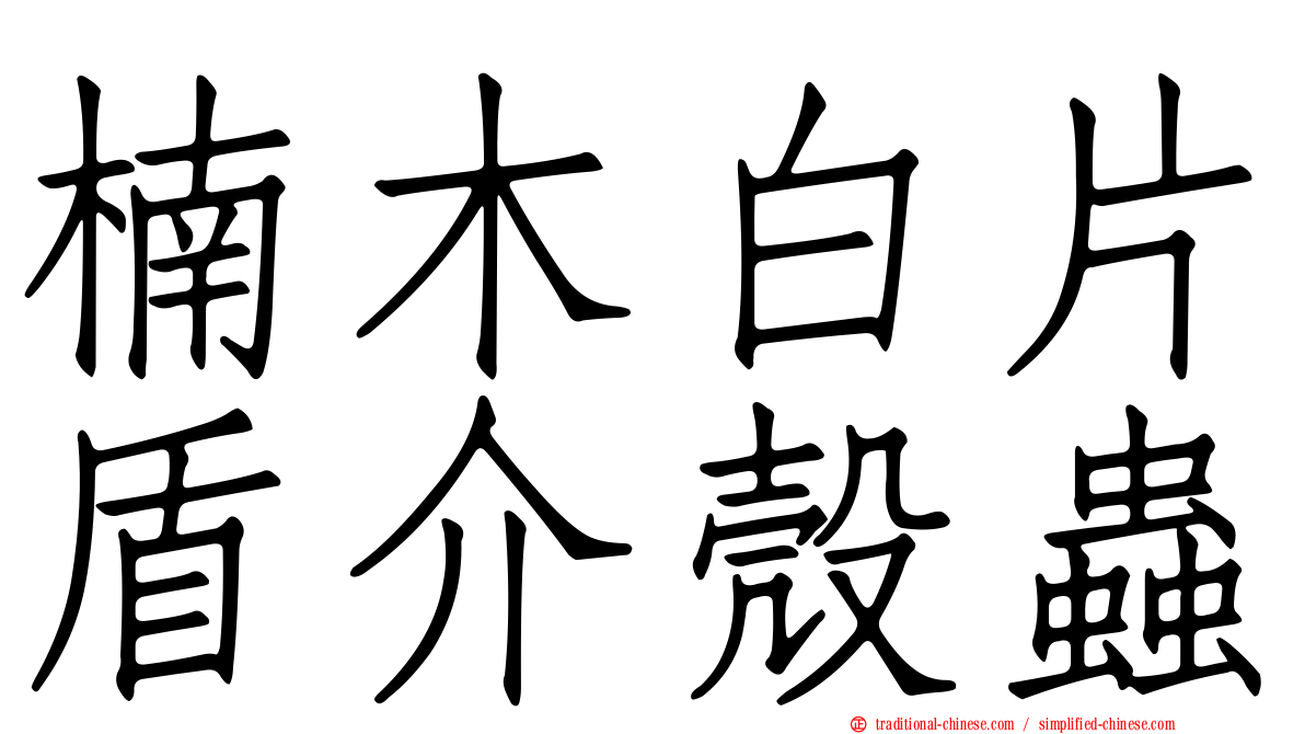楠木白片盾介殼蟲