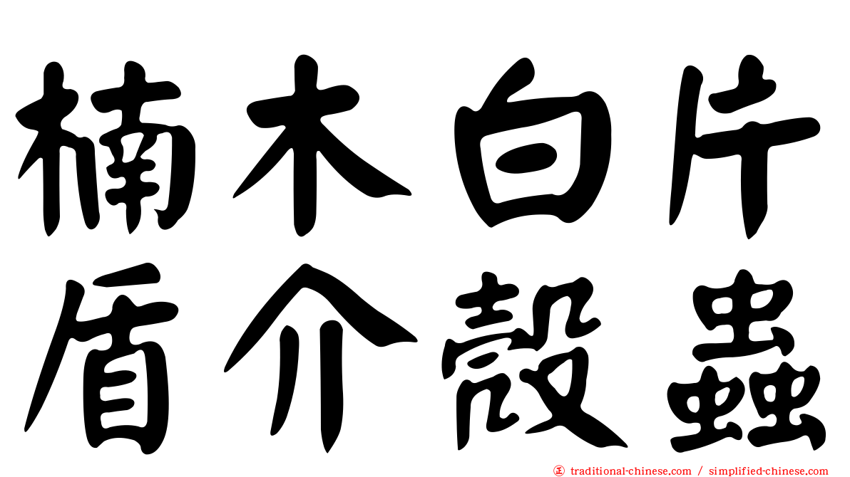 楠木白片盾介殼蟲