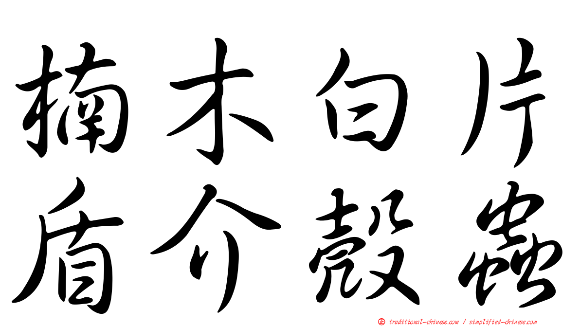 楠木白片盾介殼蟲