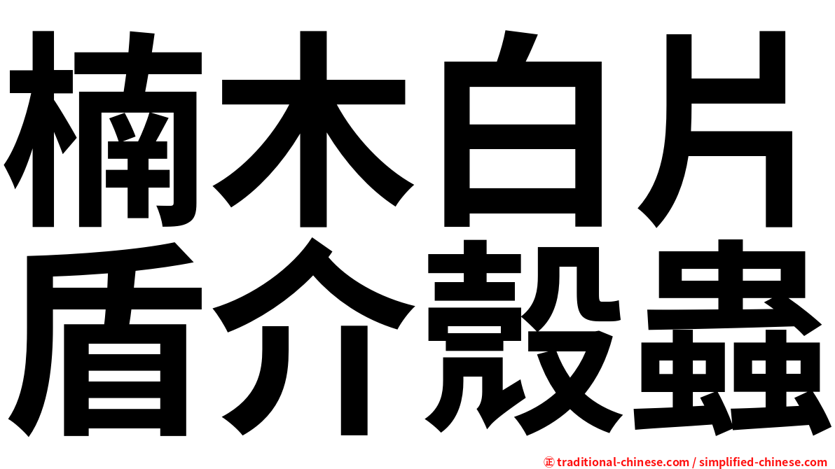 楠木白片盾介殼蟲