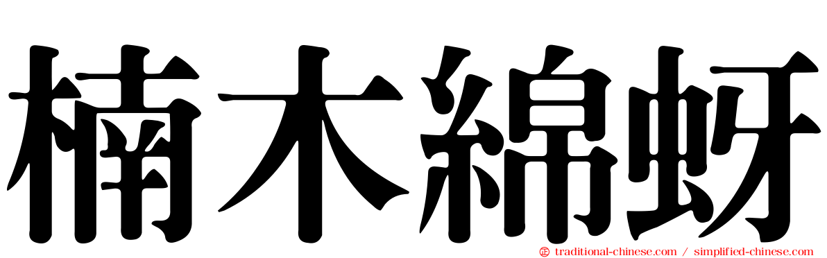 楠木綿蚜