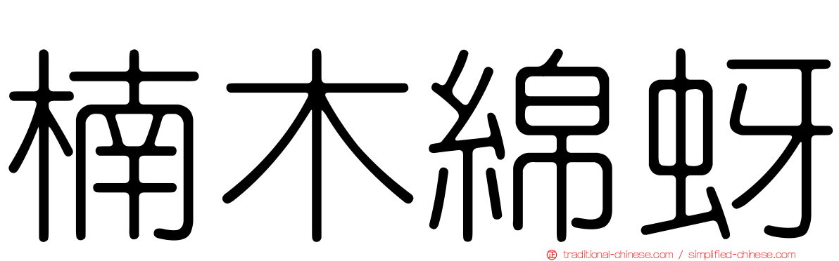楠木綿蚜