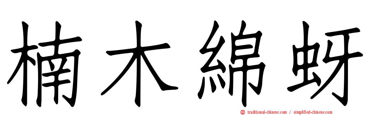 楠木綿蚜