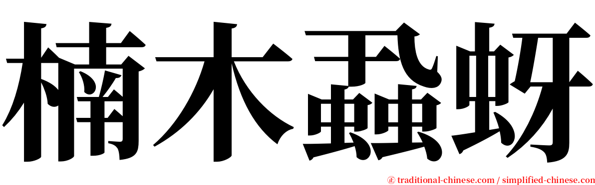 楠木蝨蚜 serif font