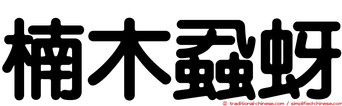 楠木蝨蚜