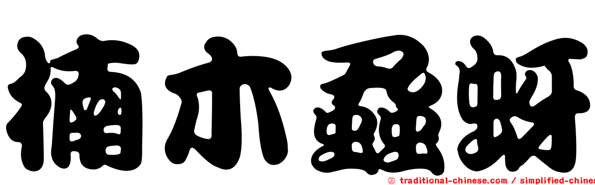 楠木蝨蚜