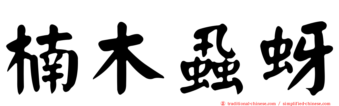 楠木蝨蚜