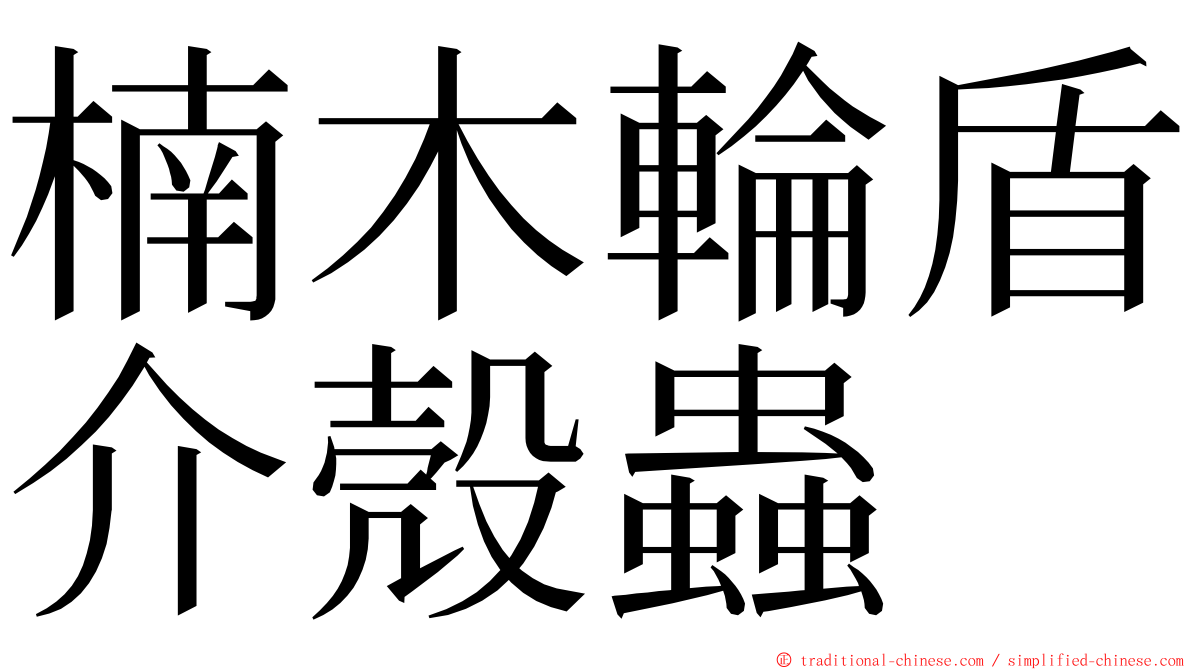 楠木輪盾介殼蟲 ming font
