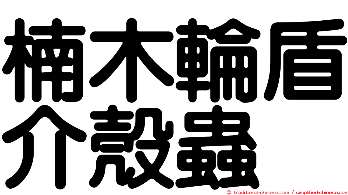 楠木輪盾介殼蟲
