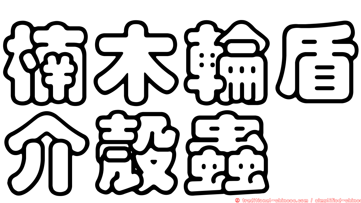 楠木輪盾介殼蟲