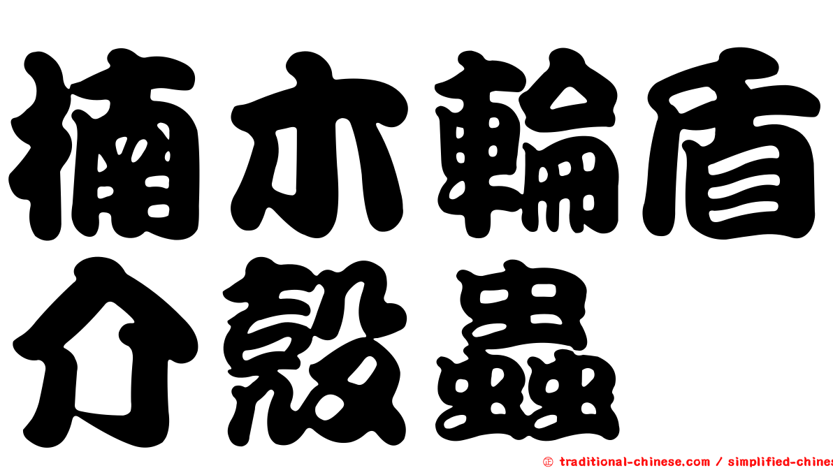 楠木輪盾介殼蟲