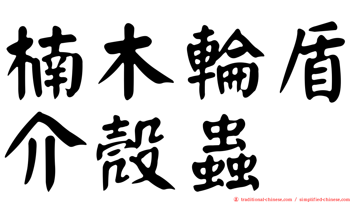 楠木輪盾介殼蟲