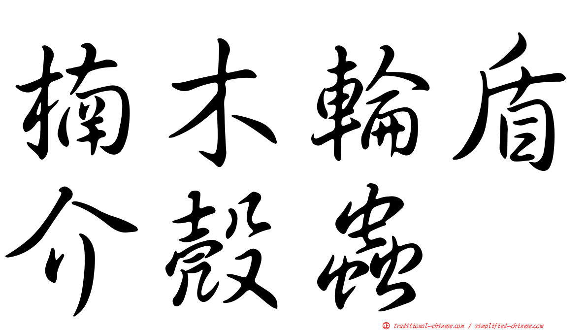 楠木輪盾介殼蟲