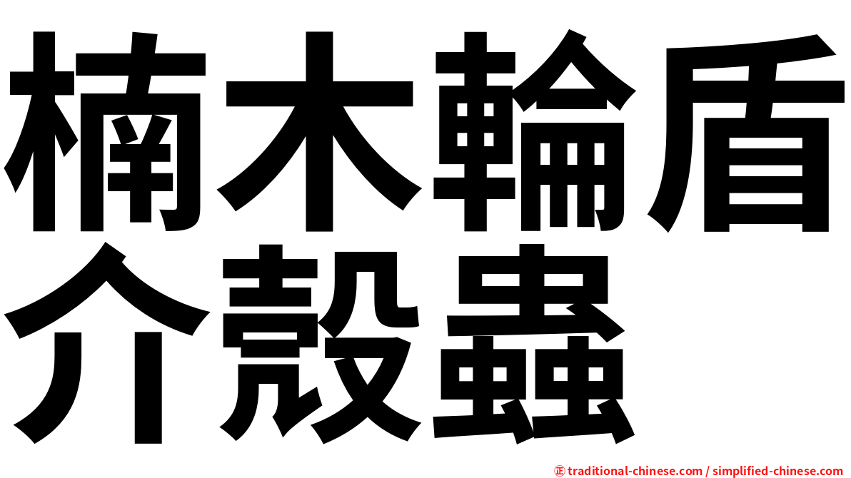 楠木輪盾介殼蟲