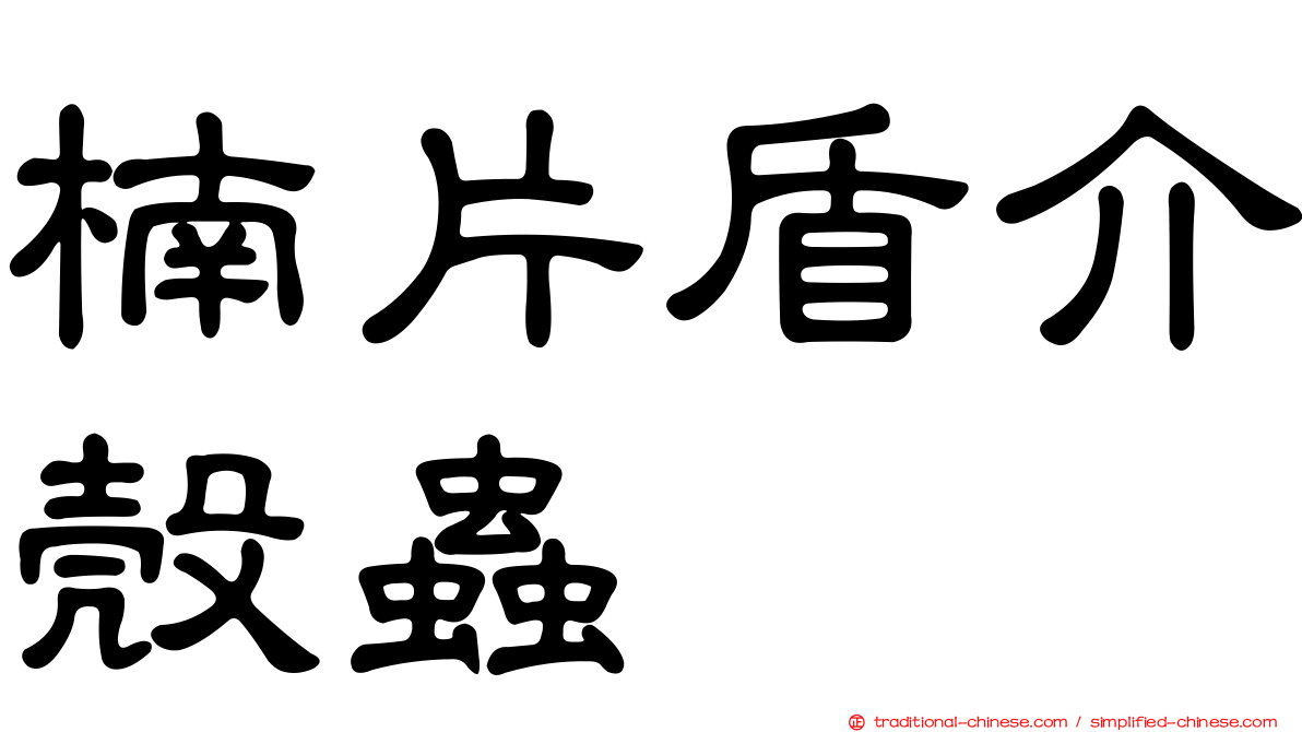 楠片盾介殼蟲