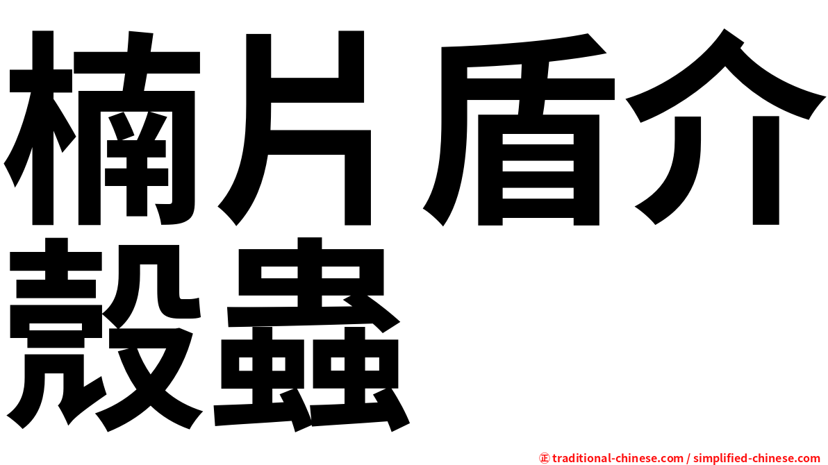 楠片盾介殼蟲