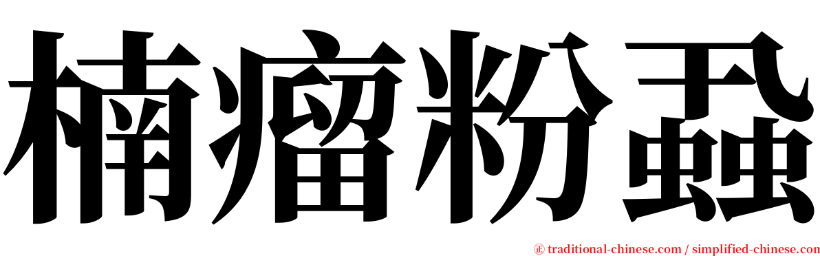 楠瘤粉蝨 serif font