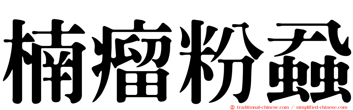 楠瘤粉蝨