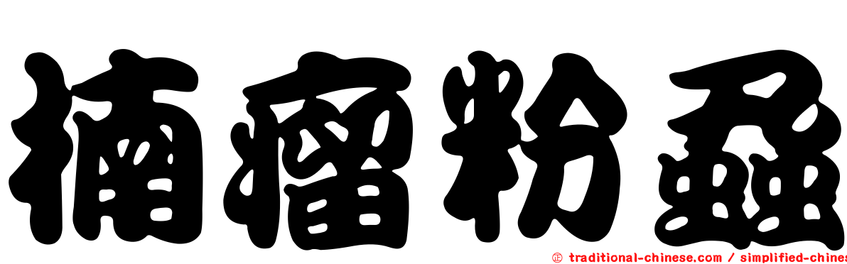 楠瘤粉蝨
