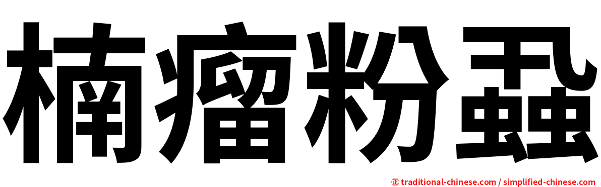 楠瘤粉蝨