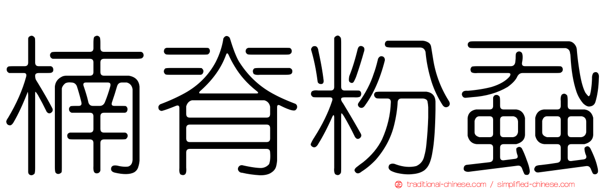 楠脊粉蝨