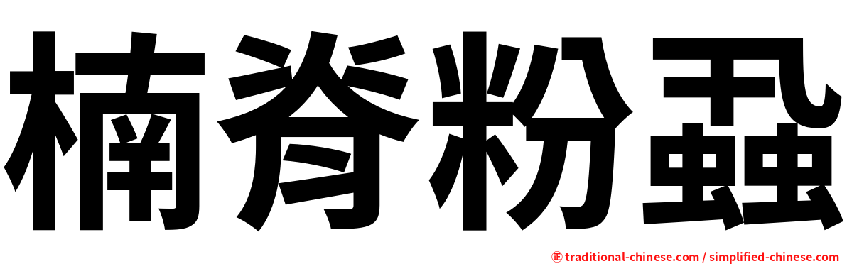 楠脊粉蝨