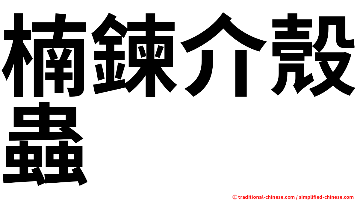 楠鍊介殼蟲