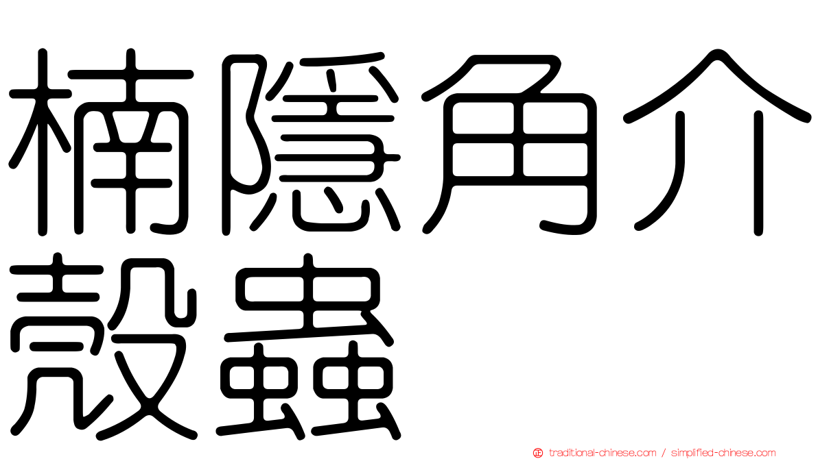 楠隱角介殼蟲