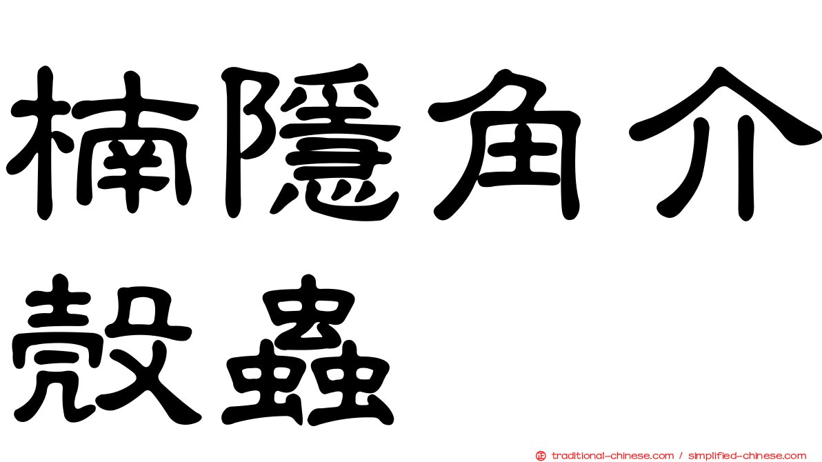 楠隱角介殼蟲