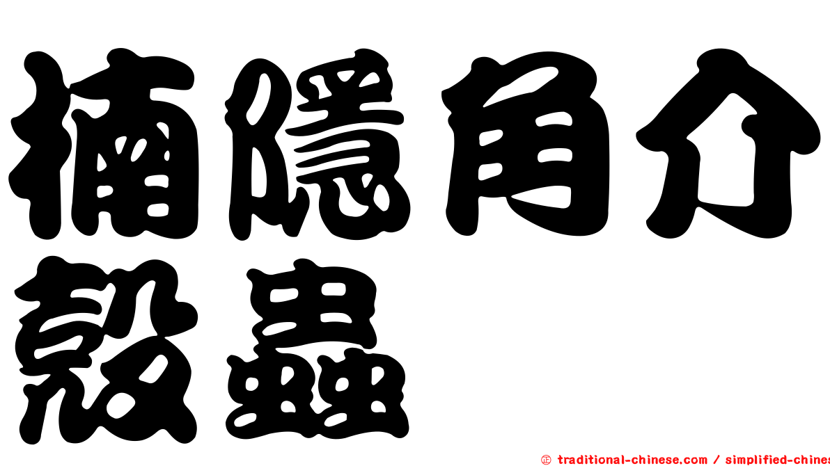 楠隱角介殼蟲