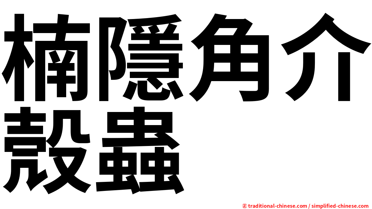 楠隱角介殼蟲