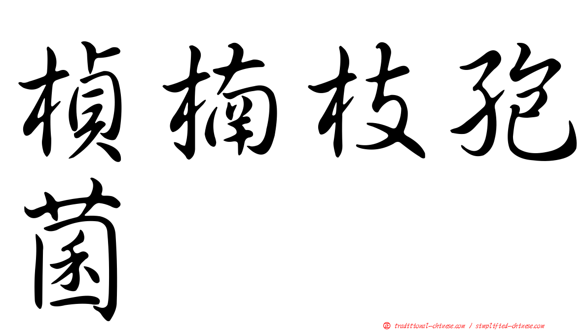 楨楠枝孢菌