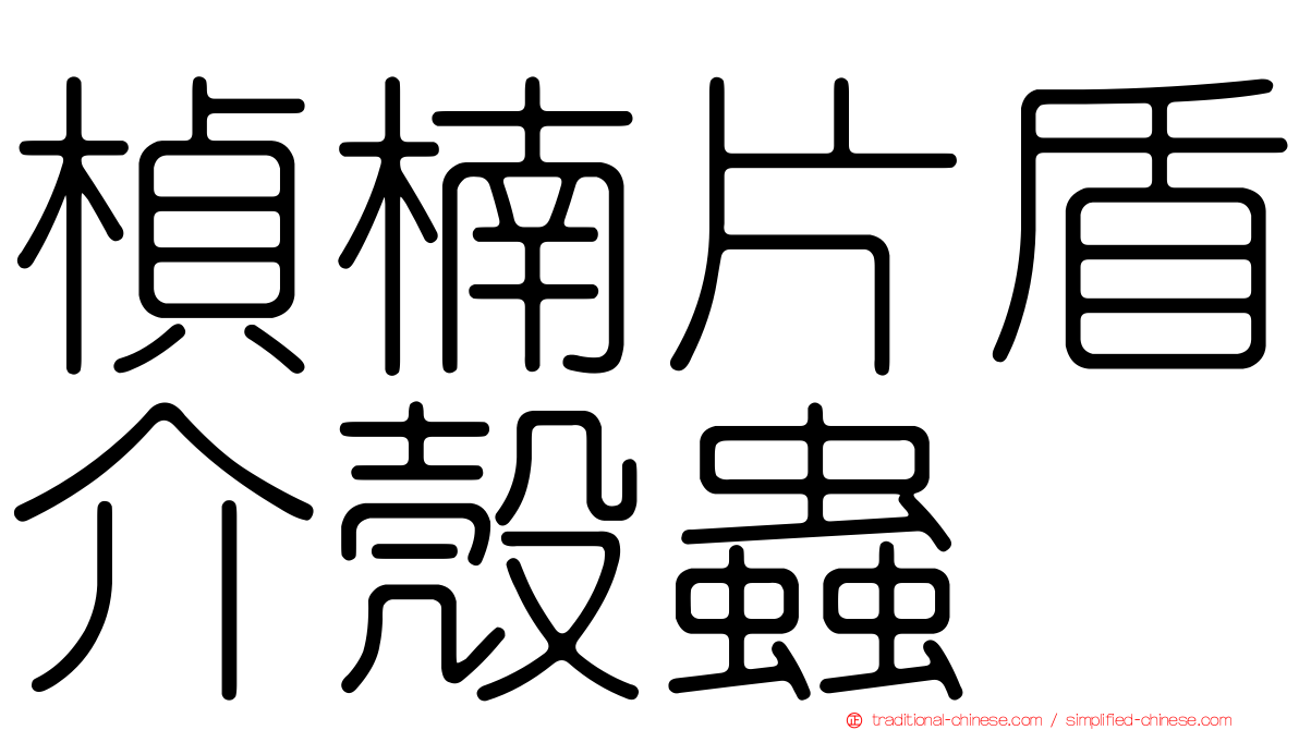 楨楠片盾介殼蟲