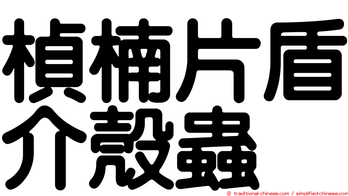 楨楠片盾介殼蟲