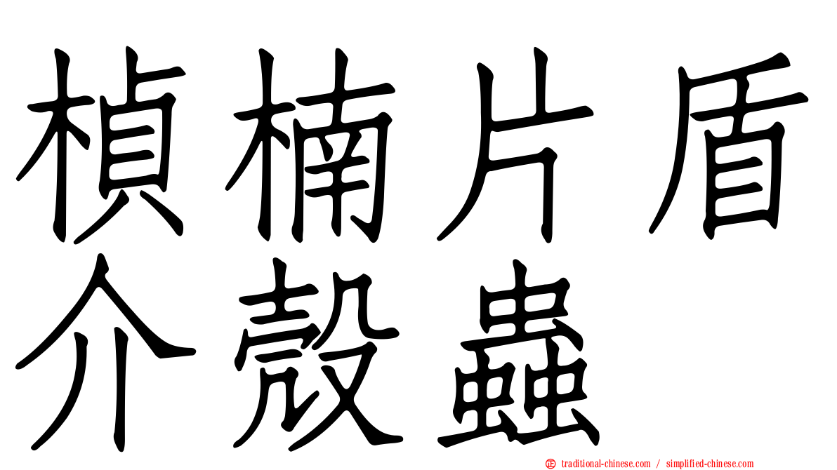 楨楠片盾介殼蟲