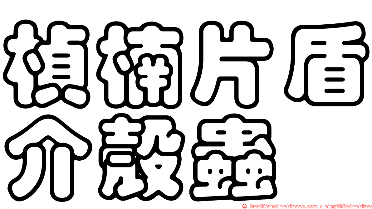 楨楠片盾介殼蟲