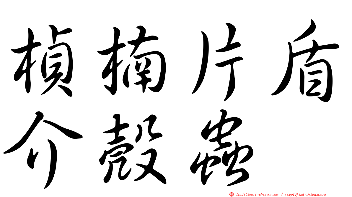 楨楠片盾介殼蟲