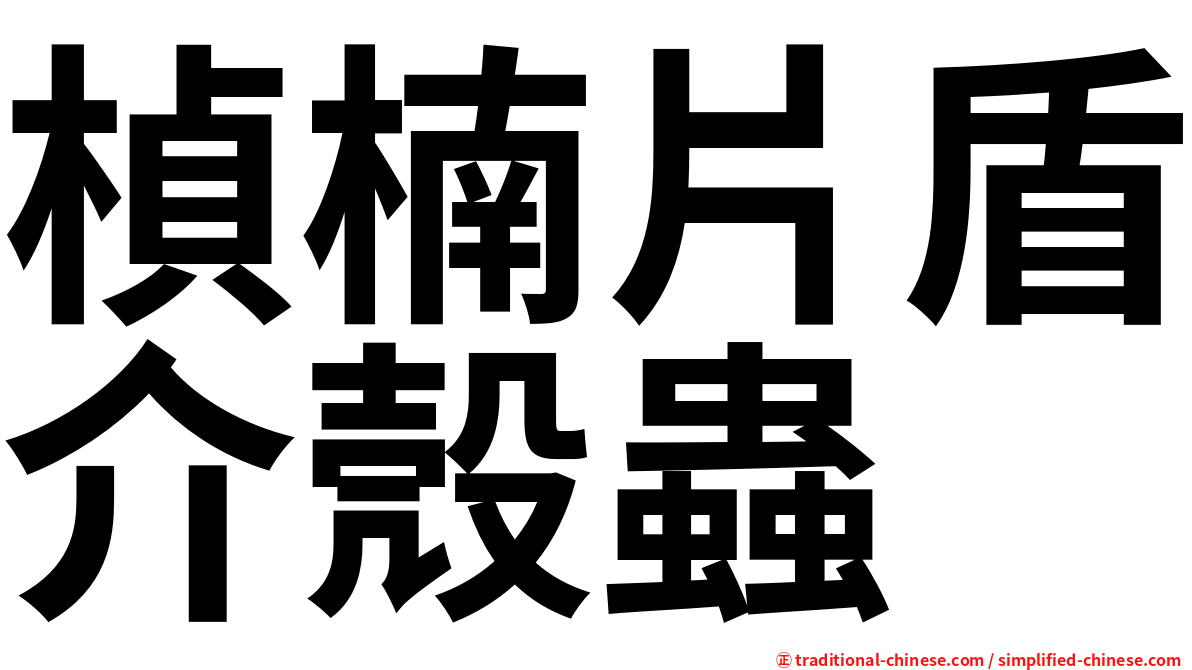 楨楠片盾介殼蟲