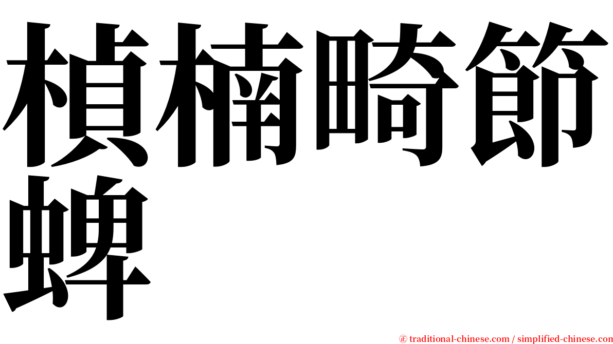 楨楠畸節蜱 serif font