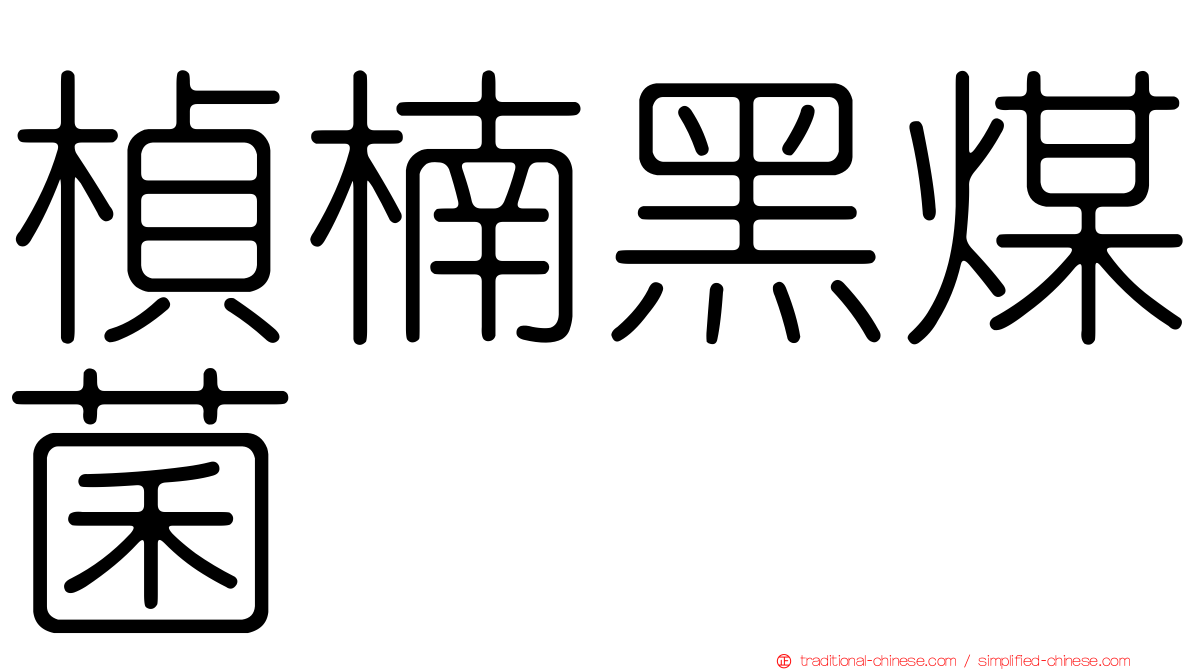 楨楠黑煤菌