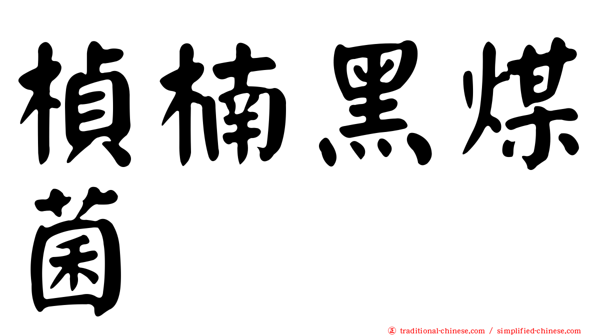 楨楠黑煤菌