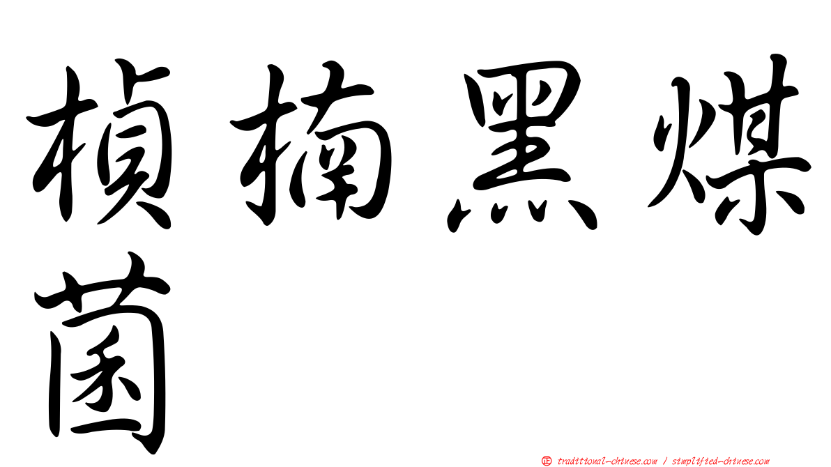 楨楠黑煤菌